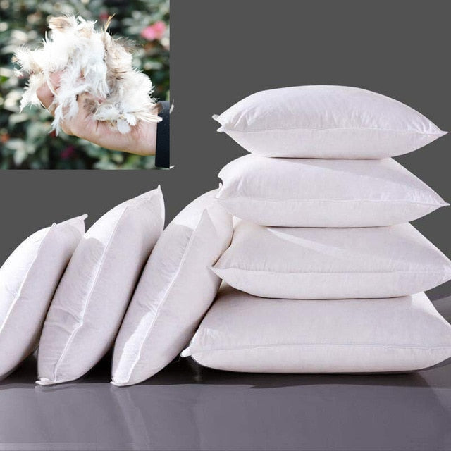 HighQuality Goose Feather Pillows Wide Range of Sizes and Colors