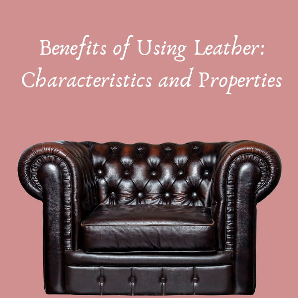 Discover the Advantages of Leather Characteristics & Properties