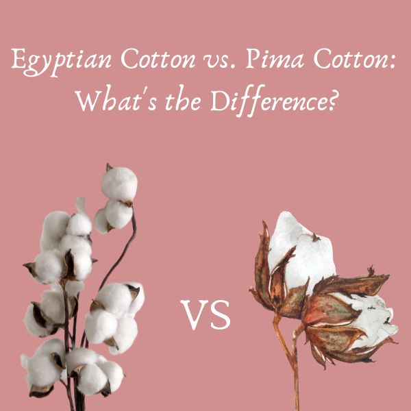 Cotton Showdown Egyptian vs. Pima Cotton Which is Better? Goods